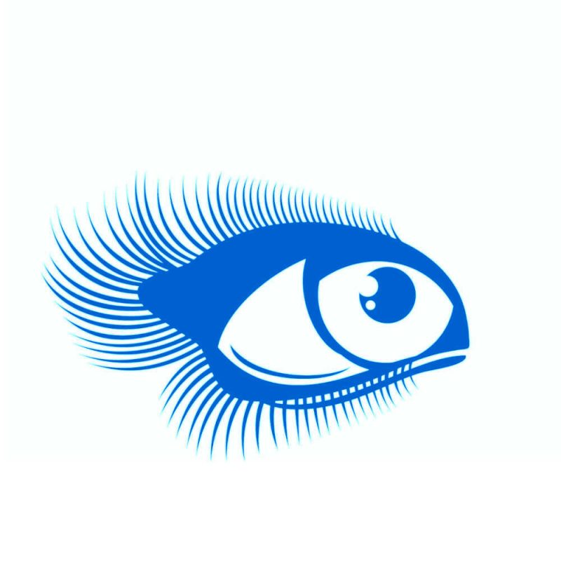 Lashes