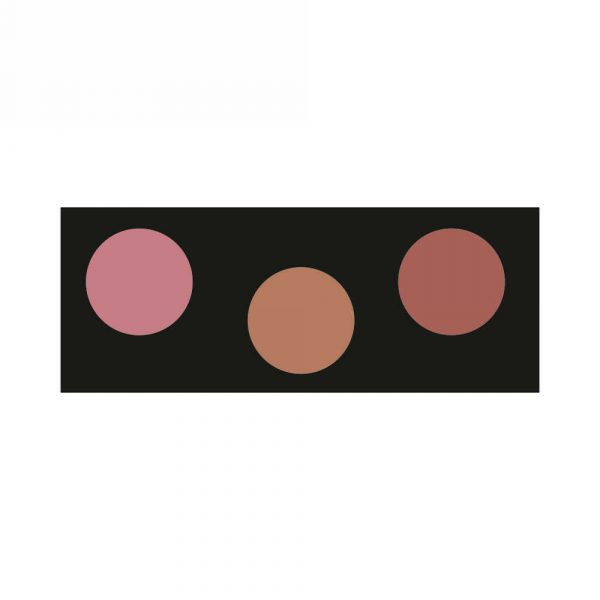 Palette fard compatto professionale 3 colori
