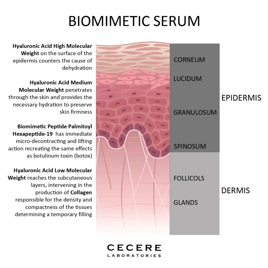 Cecere Laboratories | 30ml | Siero Biomimetico | 3 Acidi Ialuronici | Esapeptide-19