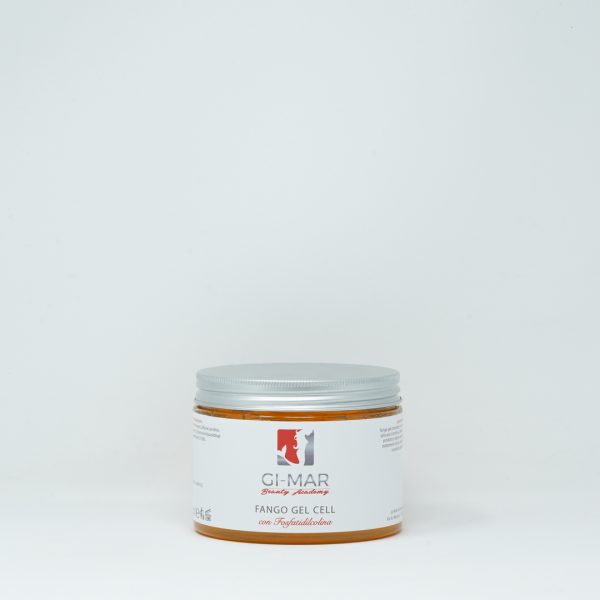 FANGO GEL CELL